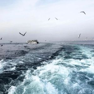 黑人大战日本女
