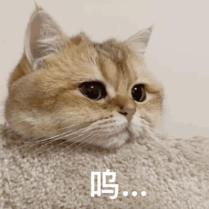 黑人大战日本女
