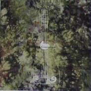 黑人大战日本女
