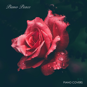 黑人大战日本女
