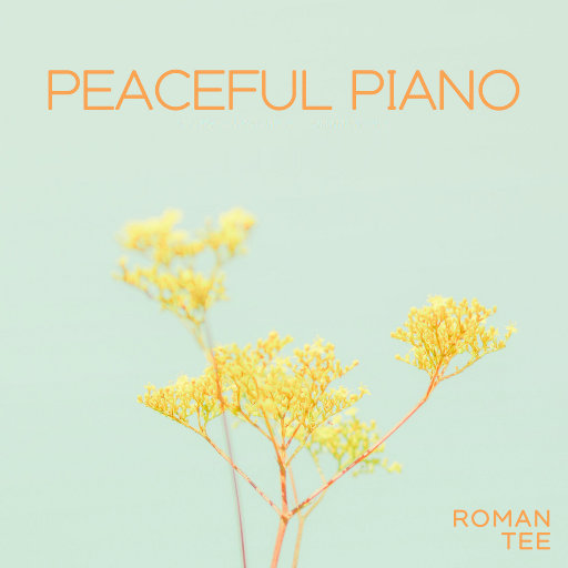 黑人大战日本女
